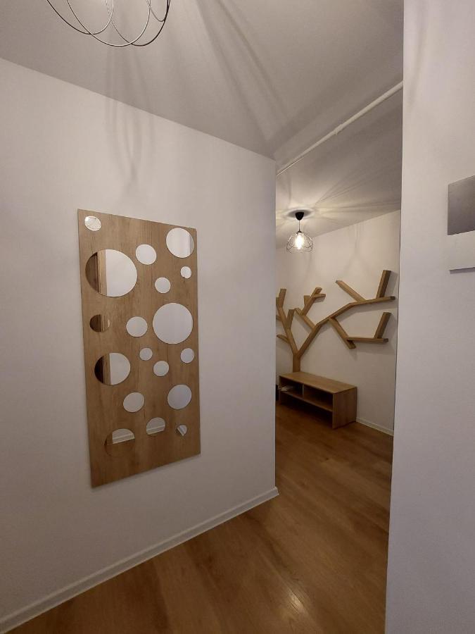Luxury Panorama Apartament,Coresi Μπρασόβ Εξωτερικό φωτογραφία