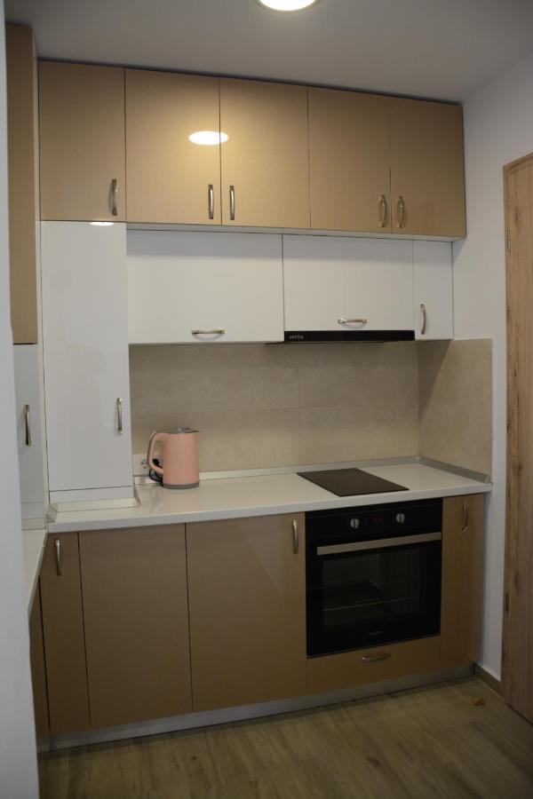 Luxury Panorama Apartament,Coresi Μπρασόβ Εξωτερικό φωτογραφία